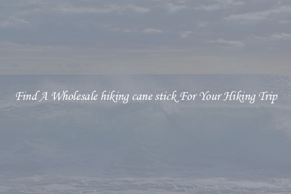 Find A Wholesale hiking cane stick For Your Hiking Trip