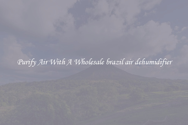 Purify Air With A Wholesale brazil air dehumidifier