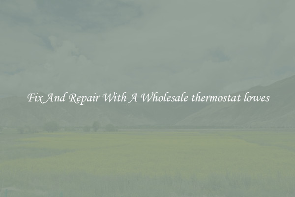 Fix And Repair With A Wholesale thermostat lowes