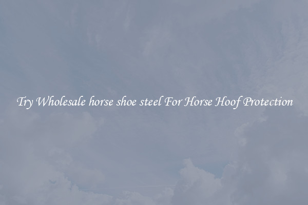 Try Wholesale horse shoe steel For Horse Hoof Protection