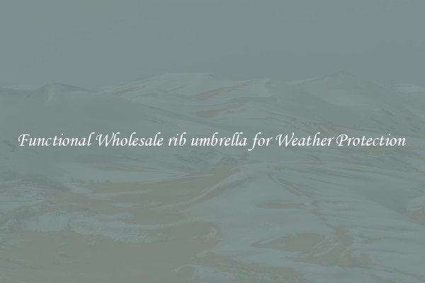 Functional Wholesale rib umbrella for Weather Protection 