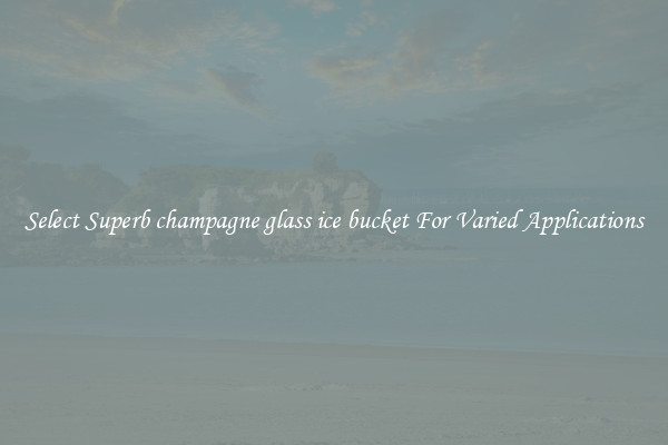 Select Superb champagne glass ice bucket For Varied Applications