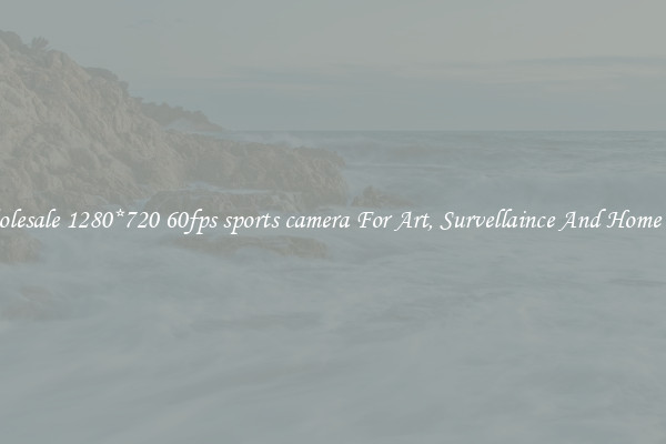 Wholesale 1280*720 60fps sports camera For Art, Survellaince And Home Use