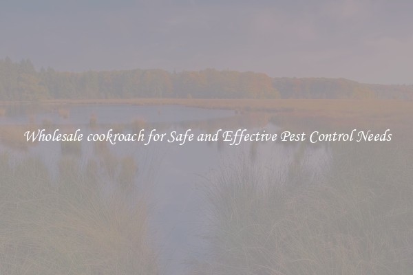 Wholesale cookroach for Safe and Effective Pest Control Needs