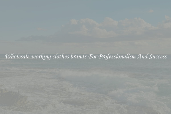 Wholesale working clothes brands For Professionalism And Success