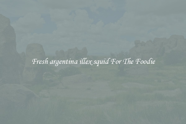 Fresh argentina illex squid For The Foodie
