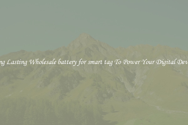 Long Lasting Wholesale battery for smart tag To Power Your Digital Devices