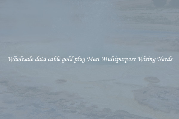 Wholesale data cable gold plug Meet Multipurpose Wiring Needs