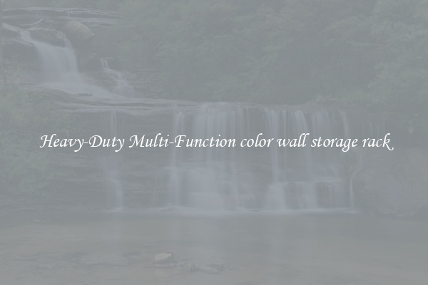 Heavy-Duty Multi-Function color wall storage rack