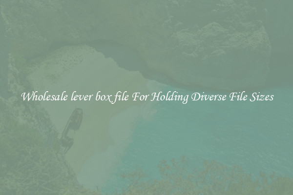 Wholesale lever box file For Holding Diverse File Sizes