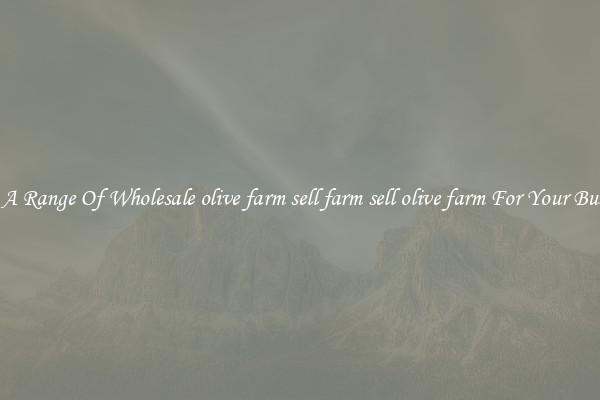 Shop A Range Of Wholesale olive farm sell farm sell olive farm For Your Business