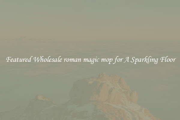 Featured Wholesale roman magic mop for A Sparkling Floor