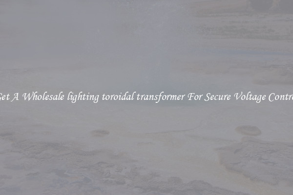 Get A Wholesale lighting toroidal transformer For Secure Voltage Control