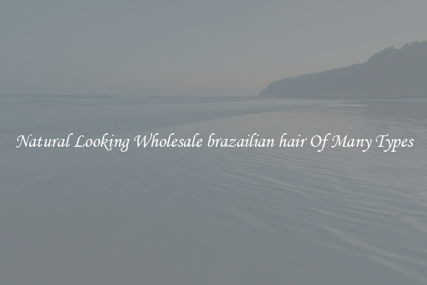 Natural Looking Wholesale brazailian hair Of Many Types