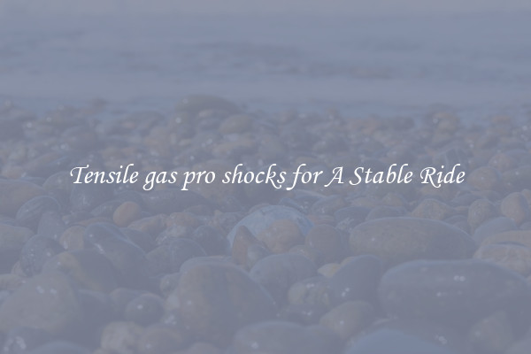 Tensile gas pro shocks for A Stable Ride