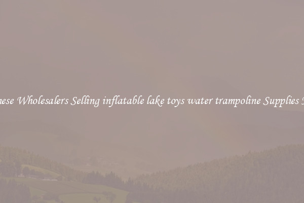 Chinese Wholesalers Selling inflatable lake toys water trampoline Supplies Now