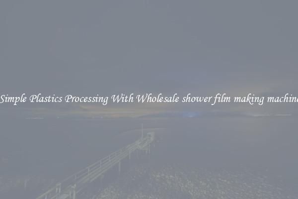 Simple Plastics Processing With Wholesale shower film making machine