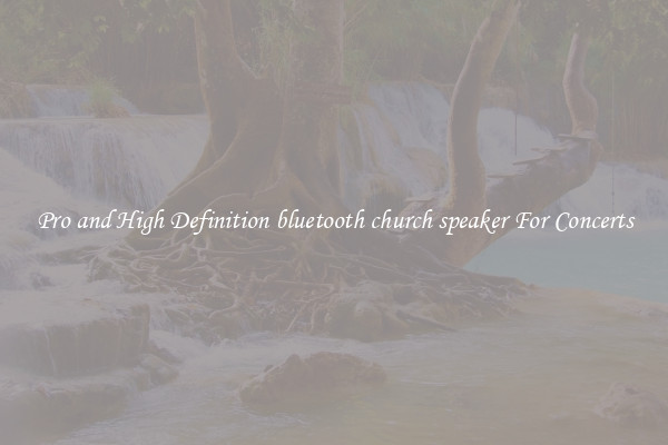 Pro and High Definition bluetooth church speaker For Concerts