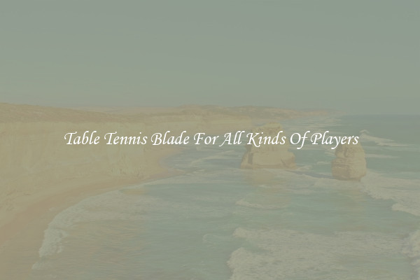 Table Tennis Blade For All Kinds Of Players