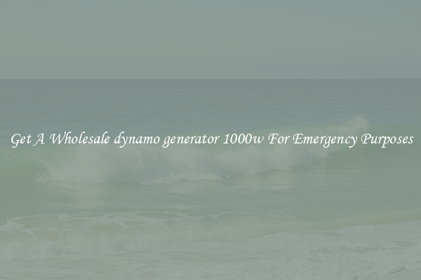 Get A Wholesale dynamo generator 1000w For Emergency Purposes
