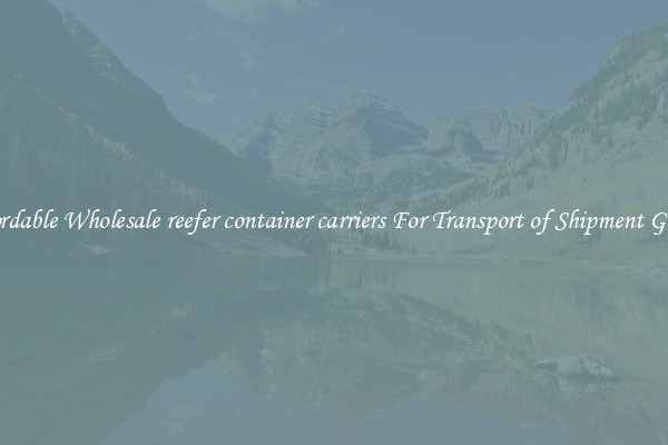 Affordable Wholesale reefer container carriers For Transport of Shipment Goods 